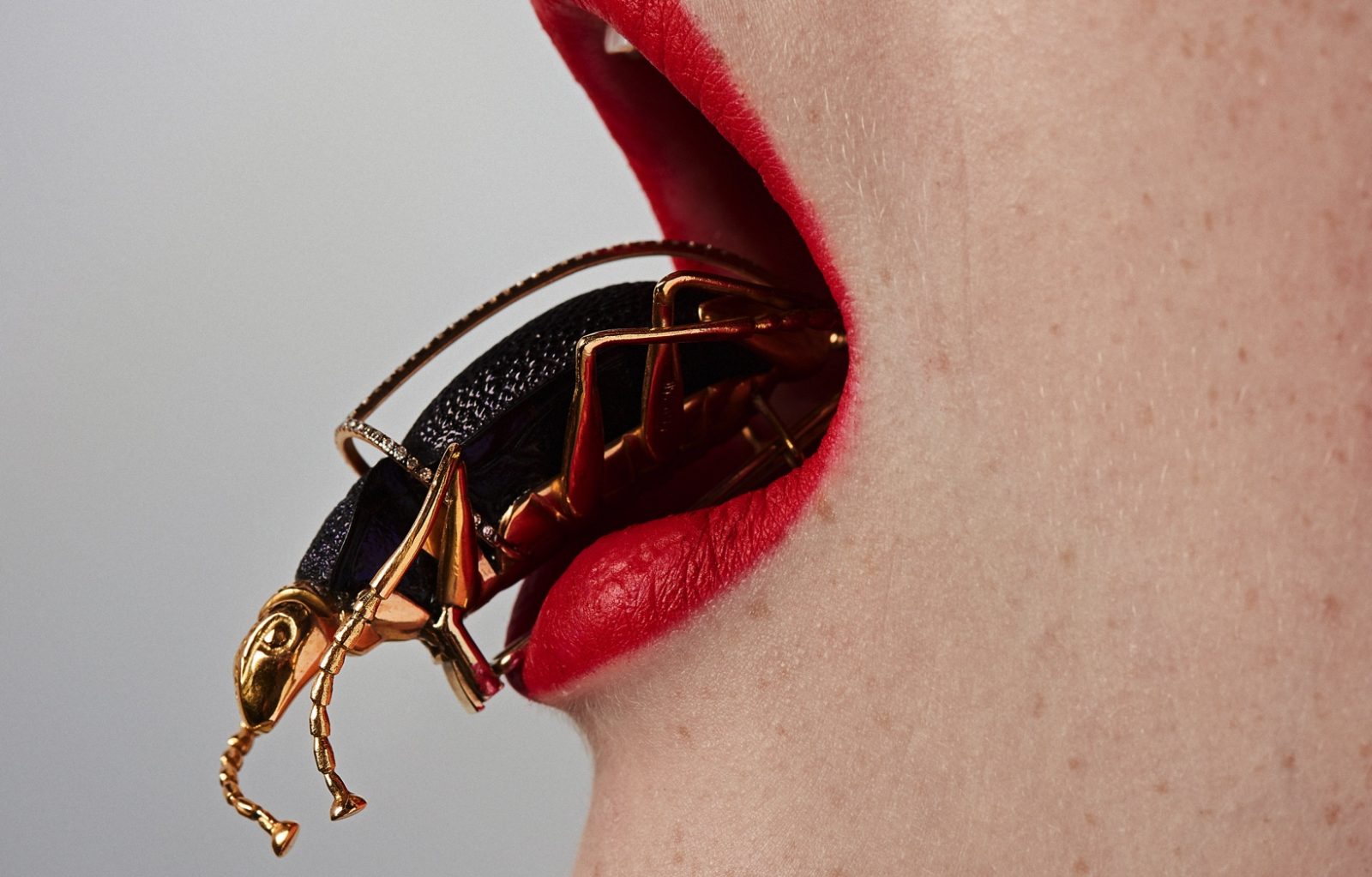 Lito | Species Campaign